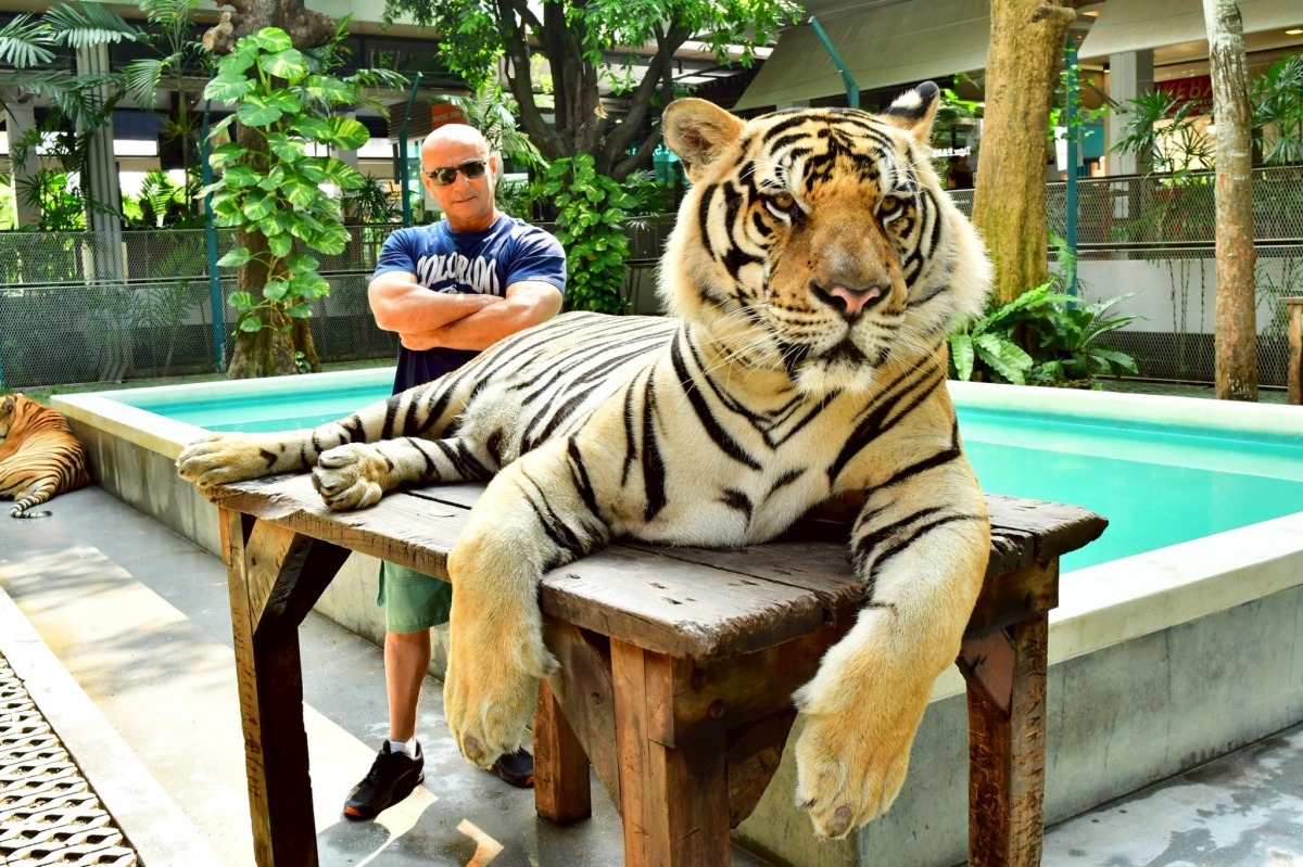 走跳旅遊｜曼谷幫 GoplayTravel goplaytravel.com.tw