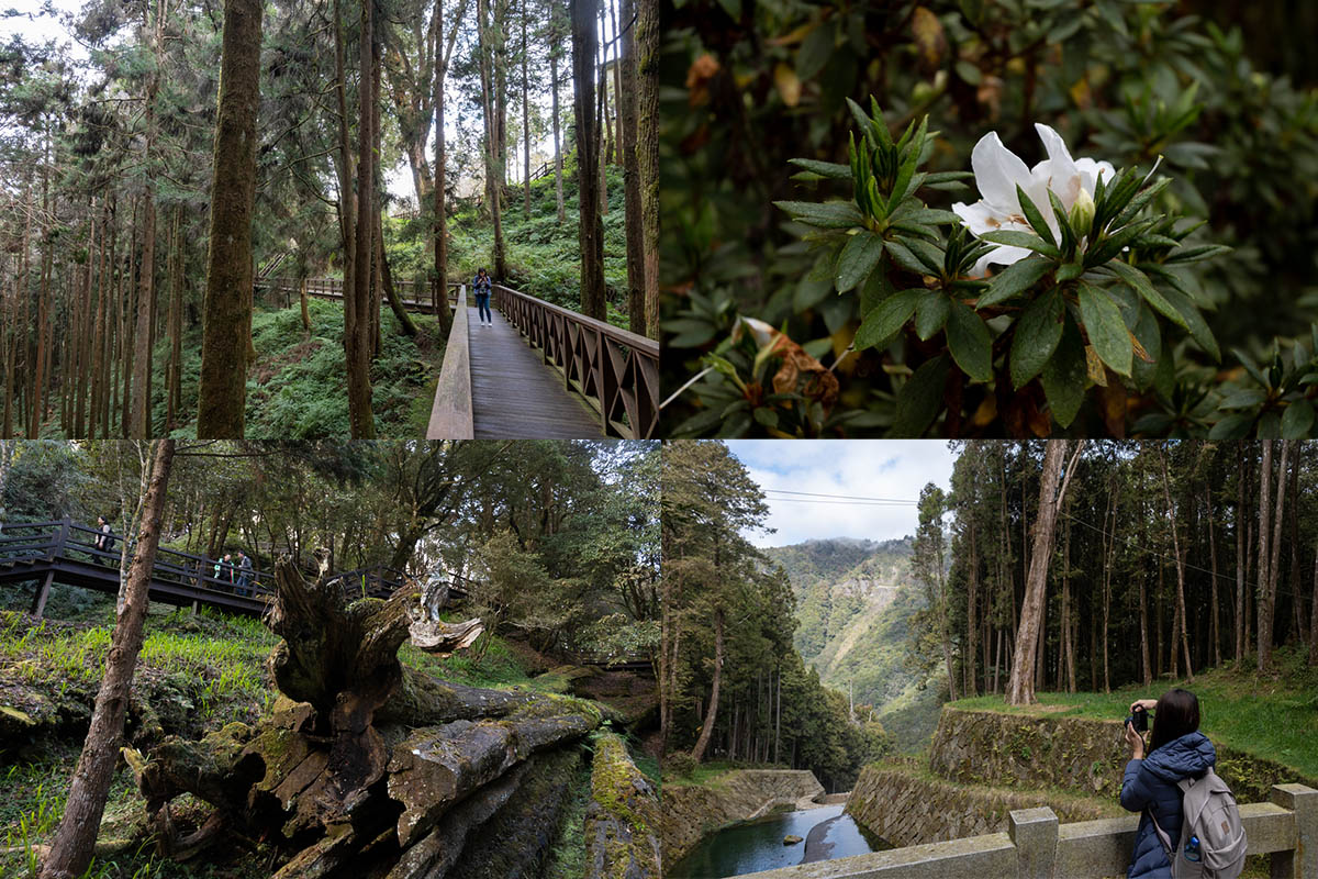 走跳旅遊｜曼谷幫 GoplayTravel goplaytravel.com.tw
