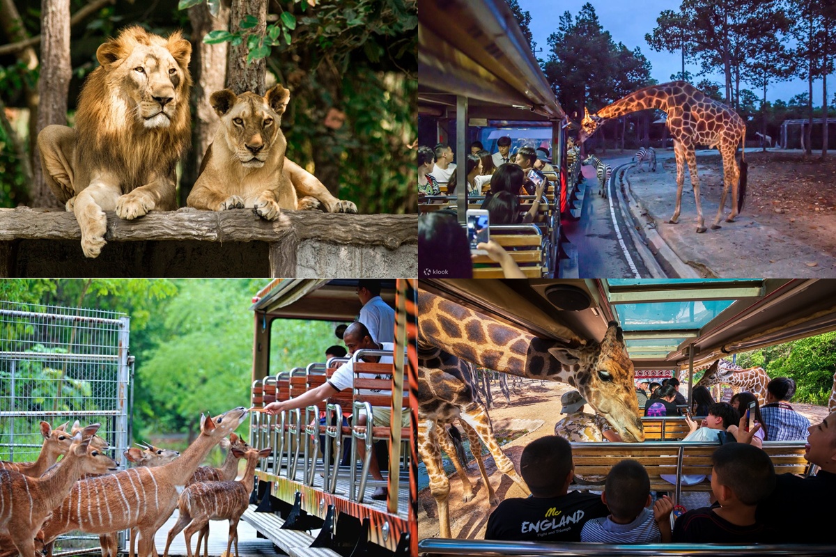 走跳旅遊｜曼谷幫 GoplayTravel goplaytravel.com.tw